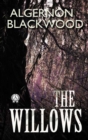 The Willows - eBook