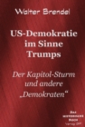 US-Demokratie im Sinne Trumps : Der Kapitol-Sturm und andere Demokraten - eBook