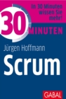 30 Minuten Scrum - eBook