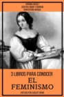 3 Libros para Conocer El Feminismo - eBook