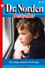 Ein Junge namens Pechvogel : Dr. Norden Bestseller 413 - Arztroman - eBook