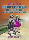Bunny Brown And His Sister Sue At Aunt Lu's City Home - eBook