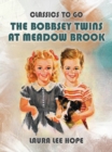 The Bobbsey Twins At Meadow Brook - eBook