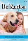Liebe braucht ein Zuhause : Dr. Norden Extra 141 - Arztroman - eBook