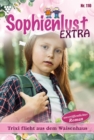 Trixi flieht aus dem Waisenhaus : Sophienlust Extra 110 - Familienroman - eBook