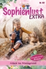Gluck im Nixengrund : Sophienlust Extra 107 - Familienroman - eBook