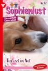 Tierarzt in Not : Sophienlust - Die nachste Generation 92 - Familienroman - eBook