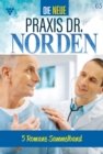 5 Romane : Die neue Praxis Dr. Norden 3 - Arztserie - eBook