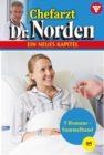 5 Romane : Chefarzt Dr. Norden - Sammelband 5 - Arztroman - eBook