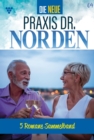 5 Romane : Die neue Praxis Dr. Norden - Sammelband 4 - Arztserie - eBook