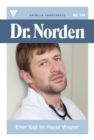 Wer lugt im Hause Wegner? : Dr. Norden 144 - Arztroman - eBook