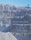 Steinbruch - eBook