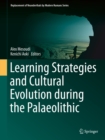 Learning Strategies and Cultural Evolution during the Palaeolithic - eBook