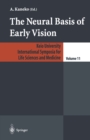 The Neural Basis of Early Vision - eBook