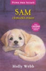 Sam, Catelusul Furat - eBook