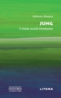 Jung : O foarte scurta introducere - eBook