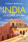 India : O scurta istorie - eBook
