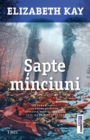 Sapte minciuni - eBook