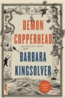 Demon Copperhead - eBook