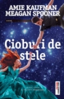 Cioburi de stele - eBook