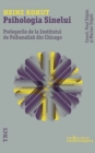 Psihologia sinelui : Prelegerile de la Institutul din Chicago - eBook