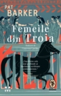 Femeile din Troia - eBook