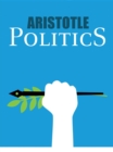 Politics : A Treatise on Government - eBook