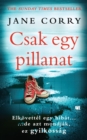 Csak egy pillanat - eBook