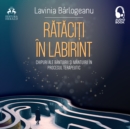 Rataciti in Labirint : Chipuri ale bantuirii si mantuirii in procesul terapeutic - eAudiobook