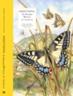 Insectopia : The Wonderful World of Insects - Book
