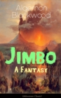 Jimbo: A Fantasy (Adventure Classic) : Mystical adventures - The Empty House Mystery - eBook