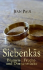 Siebenkas: Blumen-, Frucht- und Dornenstucke : Gesellschaftskritischer Eheroman - eBook