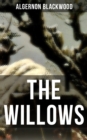 THE WILLOWS : A Supernatural Mystery - eBook
