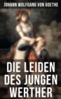 Die Leiden des jungen Werther : Die Geschichte einer verzweifelten Liebe - eBook