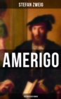 Amerigo: Historischer Roman - eBook