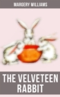 The Velveteen Rabbit : Illustrated Edition - eBook