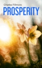 Prosperity : God Has Provided Prosperity for Every Home - eBook