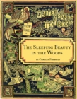 The Sleeping Beauty in the Woods : Illustrated - eBook