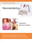Peripheral Nervous System - eBook