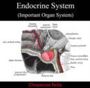 Endocrine System (Important Organ System) - eBook