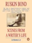 Scenes from a Writers Life - eBook