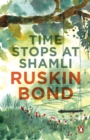 Time Stops at Shamli - eBook