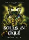 Souls in Exile - eBook