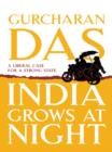 India Grows At Night : A Liberal Case for a Strong State - eBook