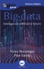 GuiaBurros Big data - eBook