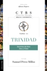 Trinidad: Doctrina de Dios, uno y trino - eBook