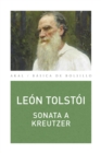 Sonata a Kreutzer - eBook