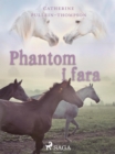 Phantom i fara - eBook
