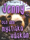 Jenny och den mystiska vaskan - eBook