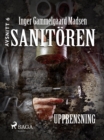 Sanitoren 6: Upprensning - eBook